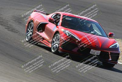 media/Oct-14-2023-West Coast Racing (Sat) [[6853f17b7b]]/Yellow Group/Session 1 (Turn 3)/